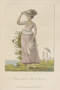  by John Gabriel Stedman