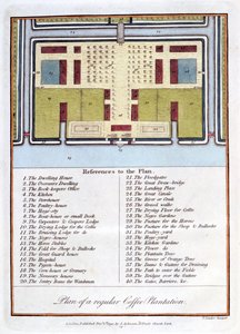 Sıradan Bir Kahve Tarlasının Planı, 1813