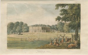Trentham Hall: renkli litografi, nd [c 1824] (baskı) by John Gendall