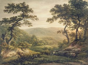 Needlewood Forest, Hampshire (kağıt üzerine sulu boya) by John Glover