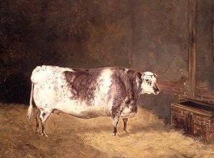 kısa boynuzlu inek by John Goode