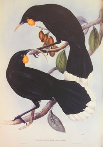  by John Gould