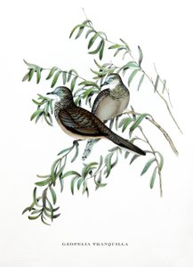  by John Gould