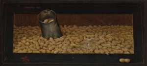 Taze Kavrulmuş (Fıstık)
