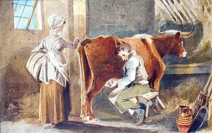Sağım (kağıt üzerine sulu boya) by John Harden