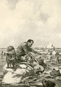 Dr Grenfell bir buz parçası üzerinde sürükleniyor by John Harris Valda