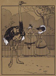 Devekuşu Tüyleri (renkli lito) by John Hassall