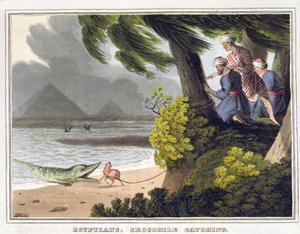 Mısırlılar Timsah Yakalama, Matthew Dubourg (fl.1785-1820) tarafından kazınmış, Edward Orme tarafından yayınlanmıştır.