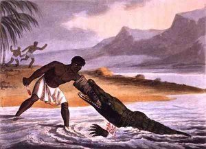 Edward Orme tarafından yayınlanan Matthew Dubourg (fl.1785-1820) tarafından kazınmış Afrika Timsah Avcıları