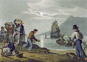 Karada Kaplumbağa Yakalayan, Matthew Dubourg (fl.1785-1820) tarafından oyulmuş, Edward Orme tarafından yayınlanmış, 1813