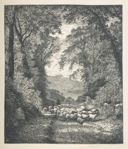 Plaka 4. Bir çoban tarafından bir yol boyunca sürülen koyun.  Doğa Resimleri. J. H. Dell tarafından ahşap üzerine çizilmiş ve R. Paterson tarafından oyulmuş otuz orijinal illüstrasyon serisi.  John Henry Dell by John Henry Dell