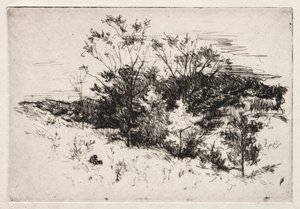 Sonbahar Manzarası, 1879-80. by John Henry Twachtman