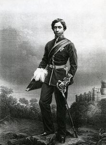 Albert Edward, Galler Prensi, D.J. 1860