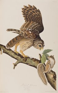 John James Audubon