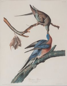  by John James Audubon