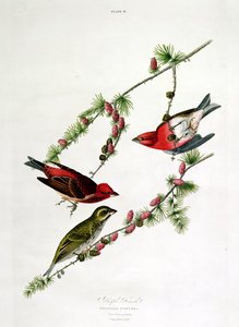 William Home (1788-1859) tarafından oyulmuş 