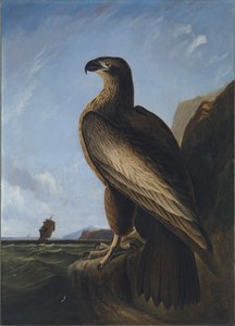  by John James Audubon