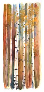 Sonbaharda Huş Ağacı, 2013, (suluboya) by John Keeling