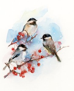 Çilekli Chickadees, 2017, (suluboya)
