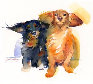 Dachshund İkilisi, 2014, (suluboya)