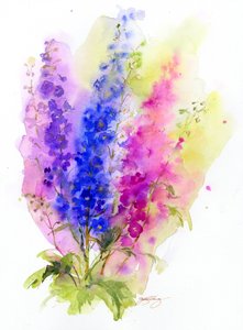 Delphinium, 2016, (suluboya)