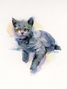 Gri kedi yavrusu, 2017, (suluboya)