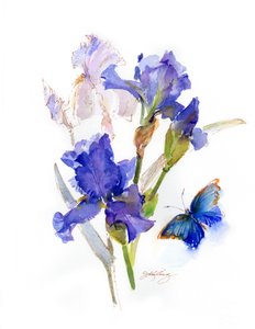 Mavi kelebekli iris, 2016, (suluboya) by John Keeling