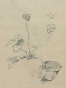  by John La Farge