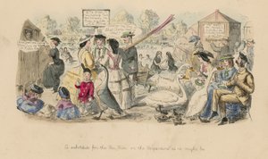 Denize alternatif; veya, Serpantin olabileceği gibi by John Leech