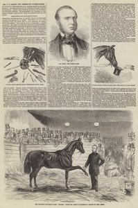 Bay JS Rarey, Amerikan At Terbiyecisi by John Leech