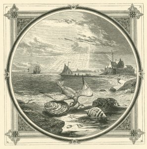 Isıran ısırıldı (gravür) by John Leighton
