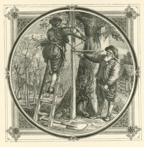 Dallar eğitilebilir, ancak gövde değil (gravür) by John Leighton