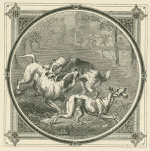 Köpekler ve kemik (gravür) by John Leighton