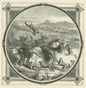 Kurt geldiğinde, öküzler nefsi müdafaa için birlik olmak için savaşmayı bırakırlar (gravür) by John Leighton