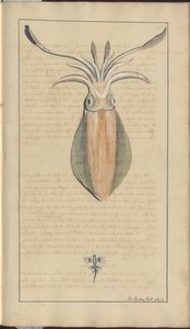 Lindsay Çizimleri Vol. VII, 29 by John Lindsay