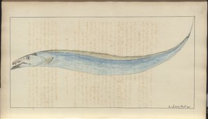 Lindsay Çizimleri Vol. VII, 9 by John Lindsay