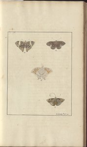 Lindsay Çizimleri Vol. VI, 42 by John Lindsay