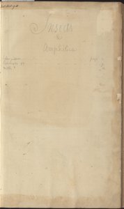 Lindsay Çizimleri Vol. VI, ön yüz by John Lindsay