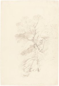 Kayın Ağacı by John Linnell