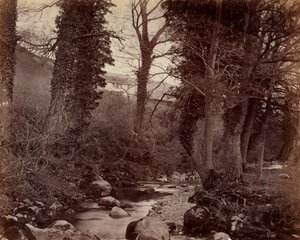 İsimsiz, c. 1859. by John Lloyd
