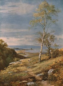 Arran Adası