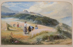 Hasat Tarlası, Arran by John MacWhirter