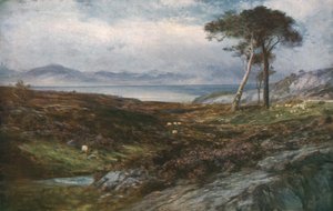 Heather: İskoç Dağlık Bölgesi, c1910, c1930.