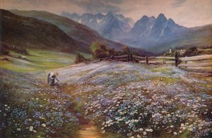 Avusturya Tirol