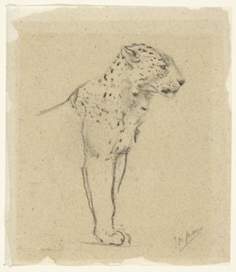 Ayakta duran bir leoparın incelenmesi by John Macallan Swan