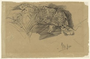 Bir leoparın çalışmaları by John Macallan Swan
