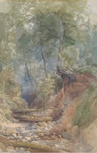 Clovelly Yakınlarında Bir Dere, Kuzey Devon, 1850.