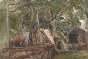 Bir Kereste Fabrikası ile Temizleme, 1847 .