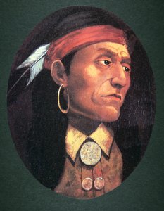 Pontiac (1720-69) 1763 (tuval üzerine yağlı boya) by John Mix Stanley