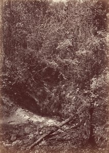 Darien Keşif Gezisi, 1871 (fotoğraf) by John Moran